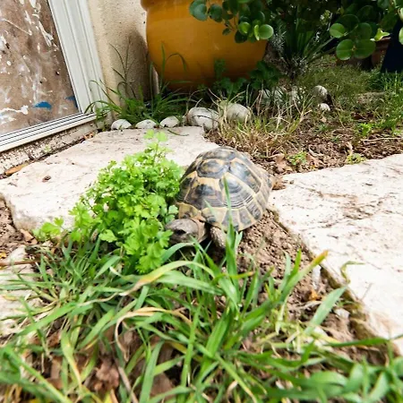 Le Jardin Secret - Detente Et Montpellier